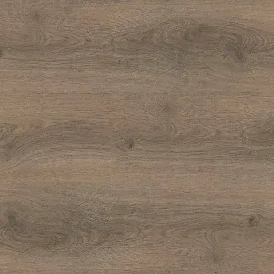 Quattro-Bristle_Oak 7