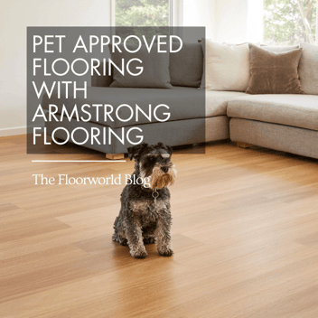 Pet Flooring with Armstrong