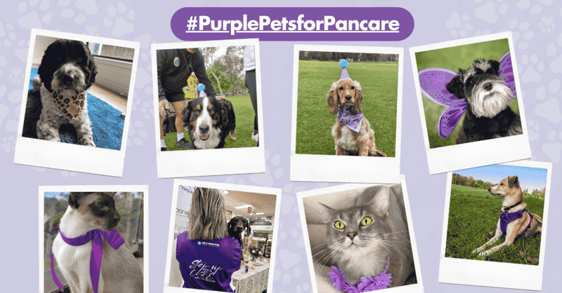 PurplePetsforPancare (2)