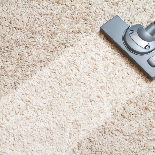 How to Clean and Maintain Your Carpet: A Complete Guide