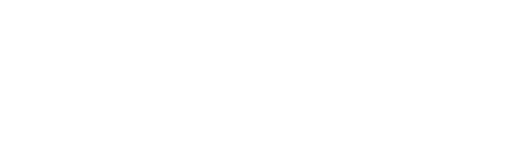 CleverChoice Logo White