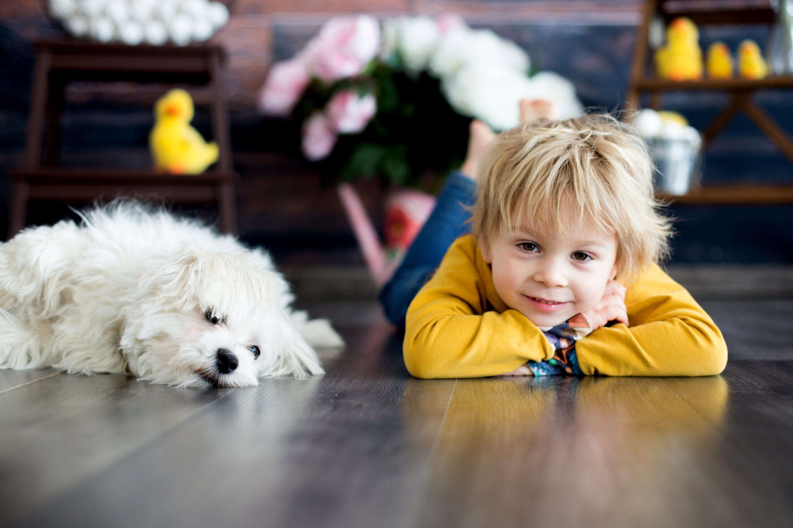 Kid and dog on the floor