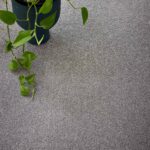 bayside-lifestyle-2