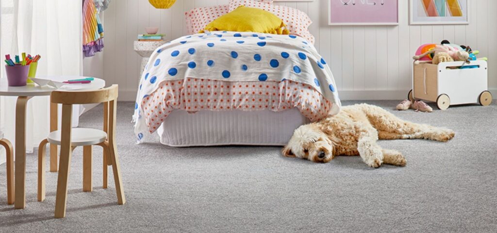 bedroom carpet pet friendly with a dog