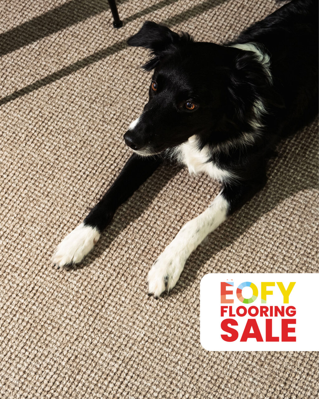 ec-carpets-nylon-carpet-avenue-lifestyle-eofy-offer