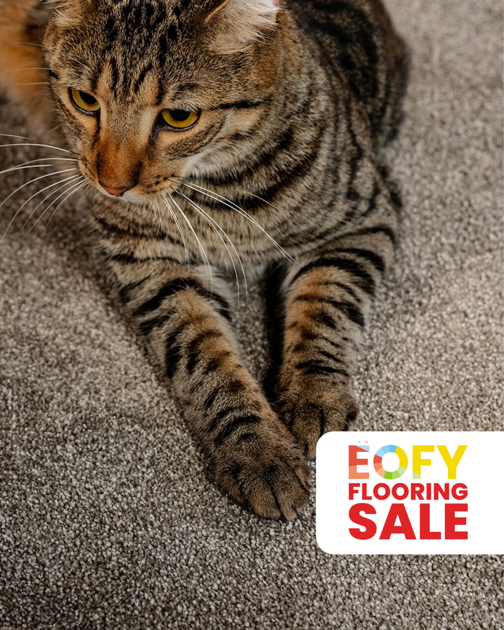 ec-carpets-nylon-carpet-cocobliss-lifestyle-eofy-offer-5