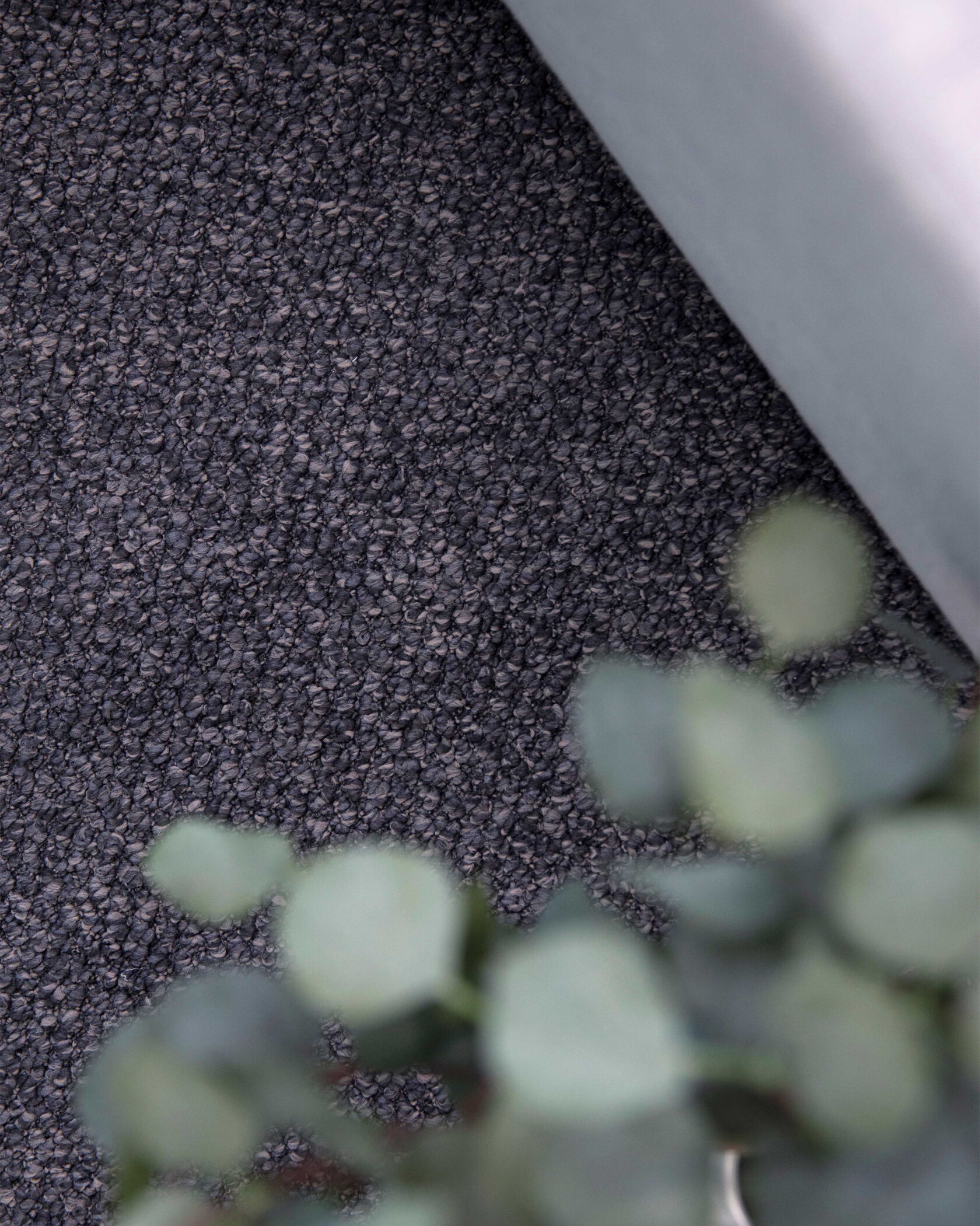 Montrosa Polypropylene Carpet – Lifestyle Image 2 | Floorworld