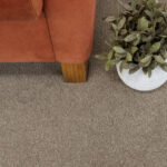 Nevada Charm Polyester Carpet – Lifestyle Image 1 | Floorworld