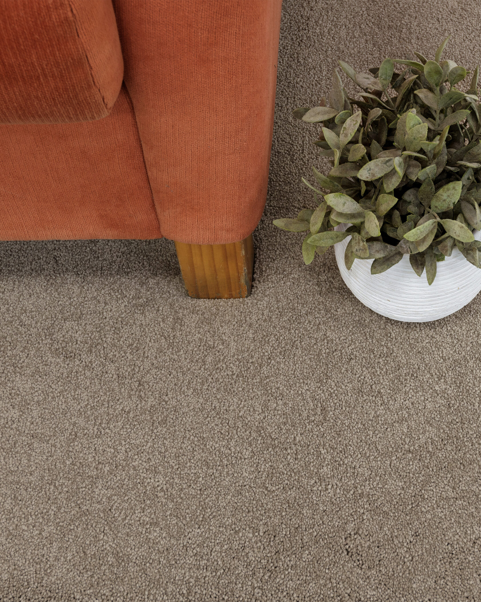 Nevada Charm Polyester Carpet – Lifestyle Image 1 | Floorworld