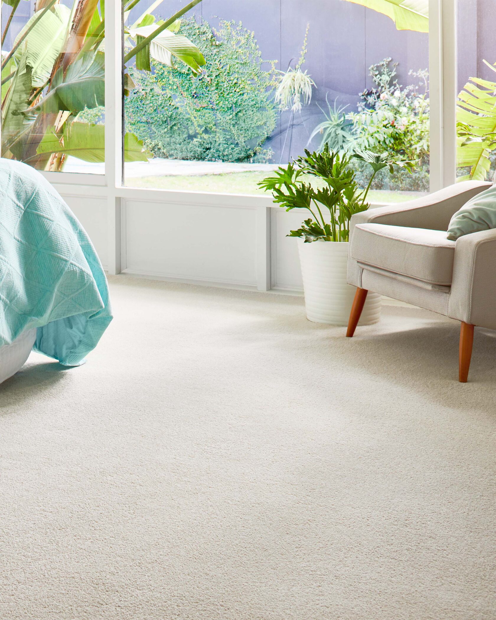 Hutt Bay Polyester Carpet – Lifestyle Image 1 | Floorworld