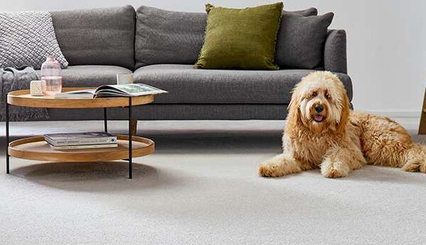 redbook green carpet brand banner feltex.jpg