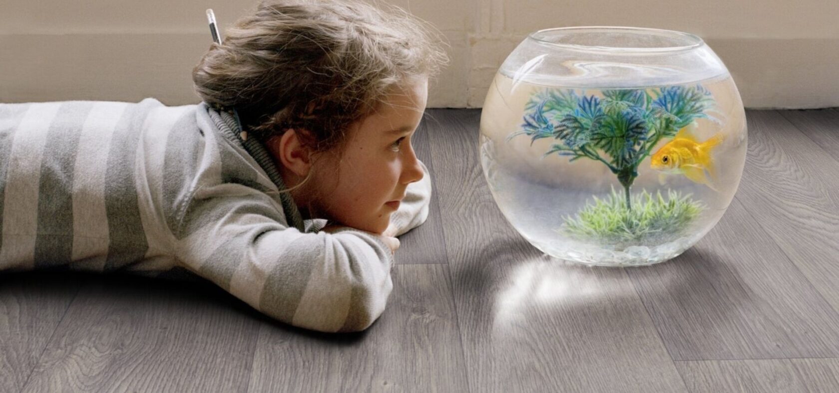 Healthy Haven Flooring