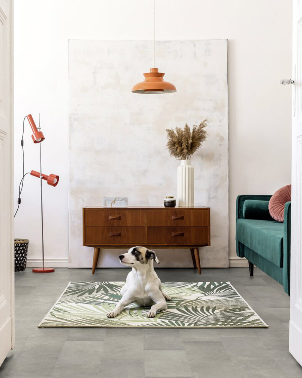 Pet on rug in modern home