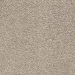 beaulieu-nylon-carpet-avalanche-Rich-soil
