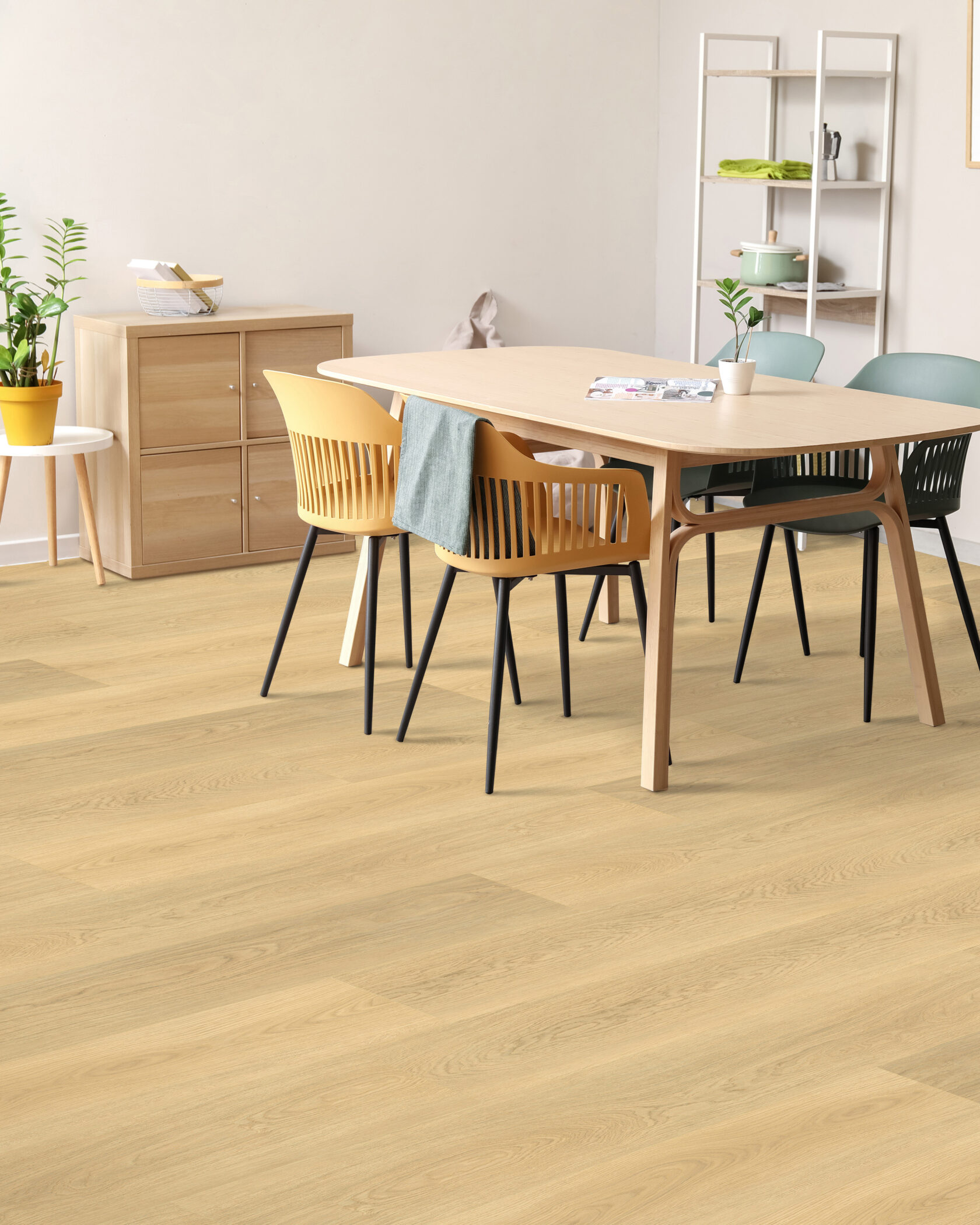 Kintara- Champagne American Oak