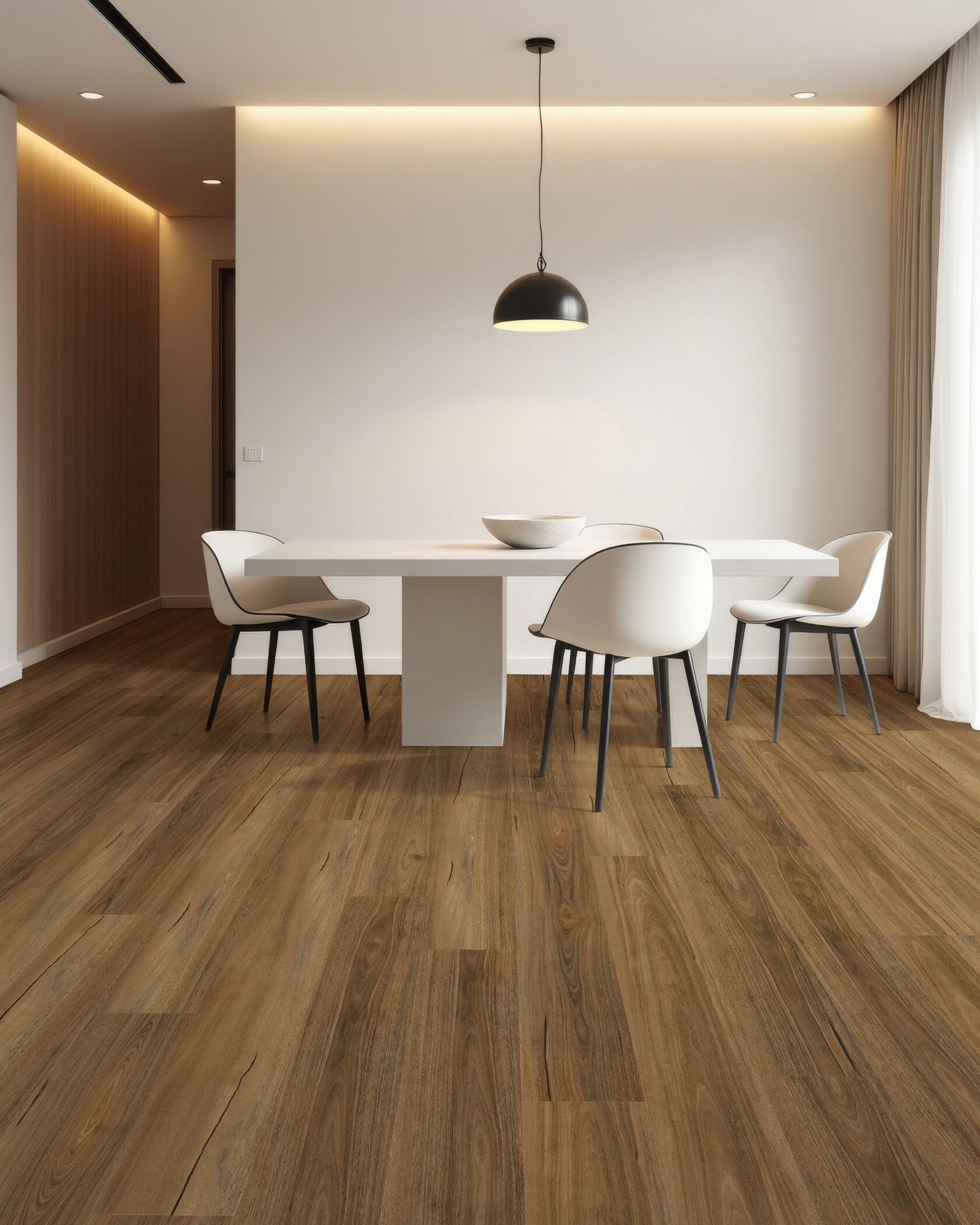 Kintara- Fraser Spotted Gum